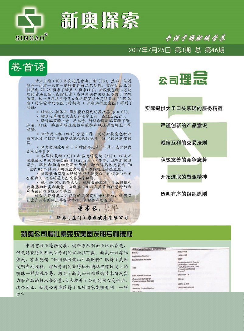 益阳_2025年正版资料免费大全挂牌,揭露深究详细解答、解释与落实